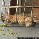 ���� ����, ����������� - ��������� 10 ������� 2010 � ������ ������� ���� �������) ����� 2�