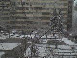 ���� ������, ����, 39 ��� - ��������� 23 �������� 2010 � ������ ���������� ���� �������� ���� � ������ �������