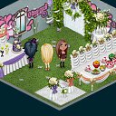  ,  -  27  2012   Tropikania