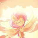 ���� ������, ������� ����, 22 ���� - ��������� 16 ���� 2013