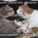 ���� �����, �����������, 41 ��� - ��������� 12 ������� 2010 � ������ �������� ���������!�