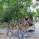  , , 40  -  22  2013    ,,  2013