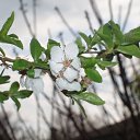 ���� ����)), �����, 40 ��� - ��������� 20 ������ 2009 � ������ ���� �����)�