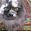 ���� �����:), �����, 47 ��� - ��������� 29 ���� 2011