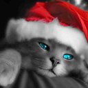 ���� �����, ����, 28 ��� - ��������� 25 ������� 2010 � ������ ���� ����������