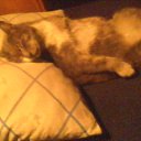 ���� �����, �����������, 47 ��� - ��������� 27 ���� 2012 � ������ �߻