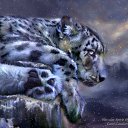  ~~,  -  4  2010   Carol Cavalaris,      .