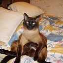 ���� Vitalik, �����-��������� - ��������� 16 ����� 2010 � ������ ���������� ������