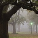 ���� �������, ���������� - ��������� 20 ���� 2013 � ������ ���� ����������