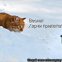 ���� ����, ����������� - ��������� 9 ������� 2010 � ������ ������� ���� �������)�