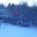 ���� �����, ������, 41 ��� - ��������� 30 ������ 2013 � ������ ����������