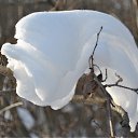 ���� ������, ��������� - ��������� 7 ������� 2010 � ������ �������� �������