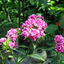 ���� �����, ������ - ��������� 12 ���� 2010 � ������ ��������