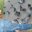  ***Anomaly***, - -  11  2011   