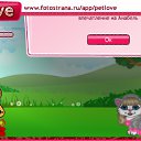 ���� ���������, ����, 72 ���� - ��������� 5 ������ 2010 � ������ �PetLove�