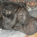 ���� �����, ������, 60 ��� - ��������� 6 ����� 2013 � ������ ���� ����������