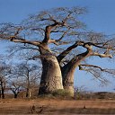 ���� �����, ��������, 56 ��� - ��������� 9 ��� 2013 � ������ ���� ����������