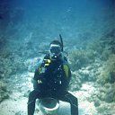 ���� ��������, �����-���������, 61 ��� - ��������� 17 ������ 2012 � ������ ���� ����������