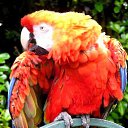 ���� ���, �������, 47 ��� - ��������� 9 ������� 2011 � ������ ���� ����������