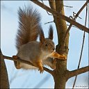 ���� �����, �����-���������, 57 ��� - ��������� 3 ������ 2009 � ������ �������