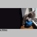 ���� Serj, ���������, 43 ���� - ��������� 23 ������� 2010