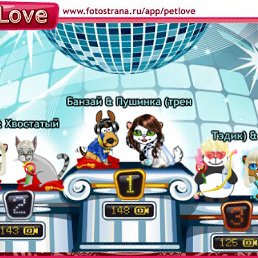 ���� ����, ����������, 44 ���� - ��������� 2 ������ 2010