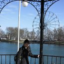 ������ 2013. �. ����������� �� ������� ���� ����������