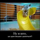���� ������, ������, 40 ��� - ��������� 8 ������� 2012
