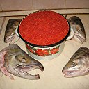 ���� �.������ (������ �.����) �� ������� ���� ����������