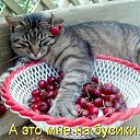 ���� ******Elena, ������, 45 ��� - ��������� 23 ������ 2012 � ������ �������