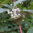 ����� ������� �� ������� ������������ � ��))))�