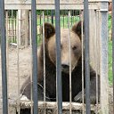 ����������� �������, ������ ���� � 50 ��, � ��������� ������� ��� ������ � ������� � ��������� ���������� �� ������� �������� 08.2011�