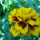  , -, 40  -  16  2011     