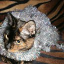 ���� �����, ��������� - ��������� 18 ������ 2012 � ������ ������� �� ...� �� ������