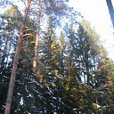 ���� ������, �����-���������, 66 ��� - ��������� 1 ������ 2012 � ������ ����� 2012 ����.�