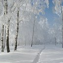 ���� �������, �����-���������, 40 ��� - ��������� 8 ������� 2012 � ������ �������