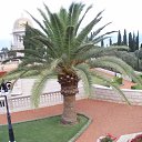 ���� �������, ������, 40 ��� - ��������� 9 ����� 2012 � ������ �RoadKing�