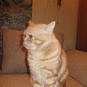 ���� ������ ��������, ��������, 27 ��� - ��������� 26 ������ 2012 � ������ ���� �������