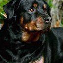 ���� Poker, ������������, 44 ���� - ��������� 6 ����� 2012