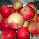 ���� �����, ������ - ��������� 5 ������� 2012 � ������ ����� ��������