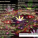 ���� ����, ���, 46 ��� - ��������� 7 ��� 2013 � ������ �� �ͨ� �����ۻ