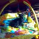 ��� ������� �������� �� ������� ���� ����������