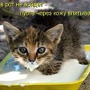 ���� Zeben, ������, 46 ��� - ��������� 10 ���� 2011 � ������ ��������� =)�