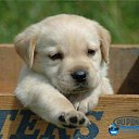 ���� �����, ���� - ��������� 26 ������� 2013 � ������ ���� ������ ������� �����, ��� ������ �������� ������)))�