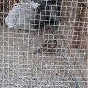 ���� �����, ������, 73 ���� - ��������� 5 ������ 2011 � ������ ������������ ����������