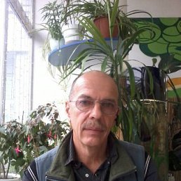 ������, �����, 68 ���