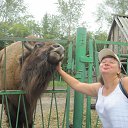 ������ � ������� �������