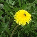 ���� �����, �������������, 25 ��� - ��������� 28 ���� 2013 � ������ ���� ����� �������������.�