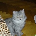 ���� Svetlanas, ���������, 47 ��� - ��������� 7 ���� 2010 � ������ ���� �������