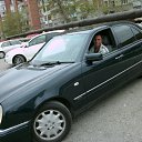 ���� ��������, ����, 65 ��� - ��������� 29 ������ 2012 � ������ ���� ����������